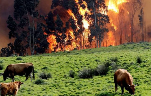 Ninguno de los 25 incendios forestales provocados ayer en Cantabria permanece activo